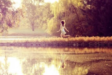 2739-1-or-1392571896