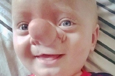 41814667890-890-1610