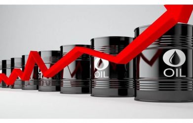 image 10  - زاجل نيوز