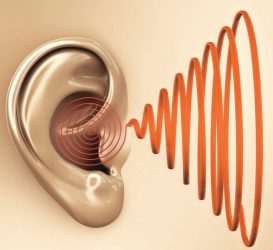 image 6 2  - زاجل نيوز