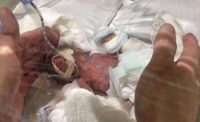 225762 11 1551284025  - زاجل نيوز