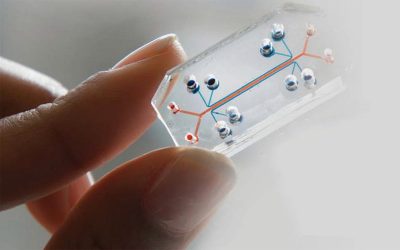 image 5  - زاجل نيوز