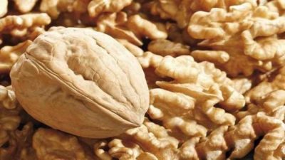 13 1 750x422 194348 large  - زاجل نيوز