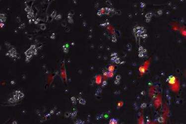 1866 1279962597 148286 large  - زاجل نيوز