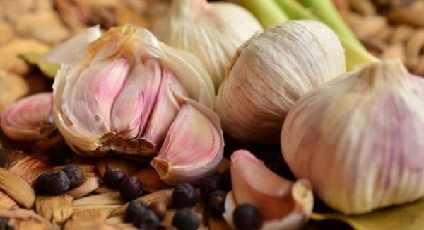 222222222222222222222222222222222 386547 large  - زاجل نيوز