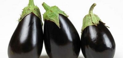 35461 الباذنجان  - زاجل نيوز