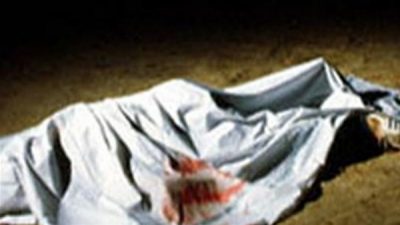 392  - زاجل نيوز