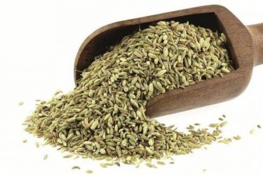 4659186 1738094773 968793 large  - زاجل نيوز