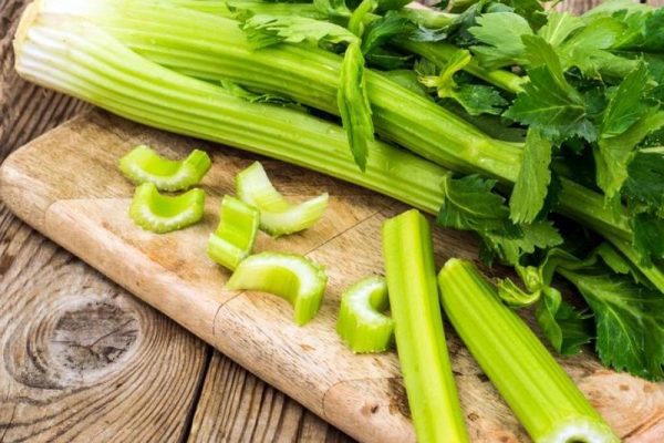 5151856 1672637138  - زاجل نيوز