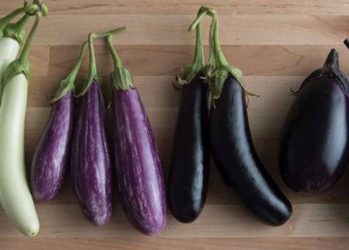 BBVPe1G 145446 large  - زاجل نيوز