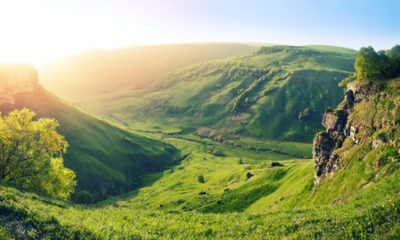 shutterstock 702157168 730x438  - زاجل نيوز