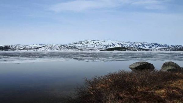 كارثة المناخ العالمية تبدأ بحصد الأرواح 805275 large  - زاجل نيوز