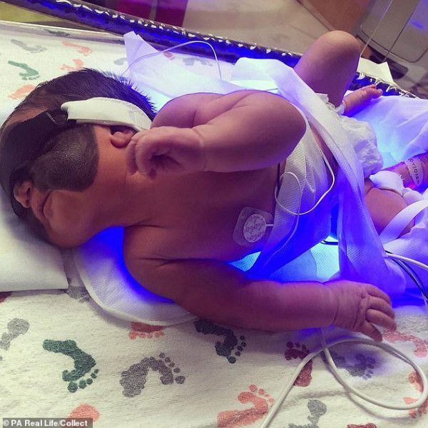 3911002808 - زاجل نيوز