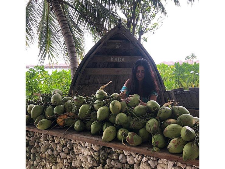 ليالي الصيفيه زاجل الاخباري 6 - زاجل نيوز