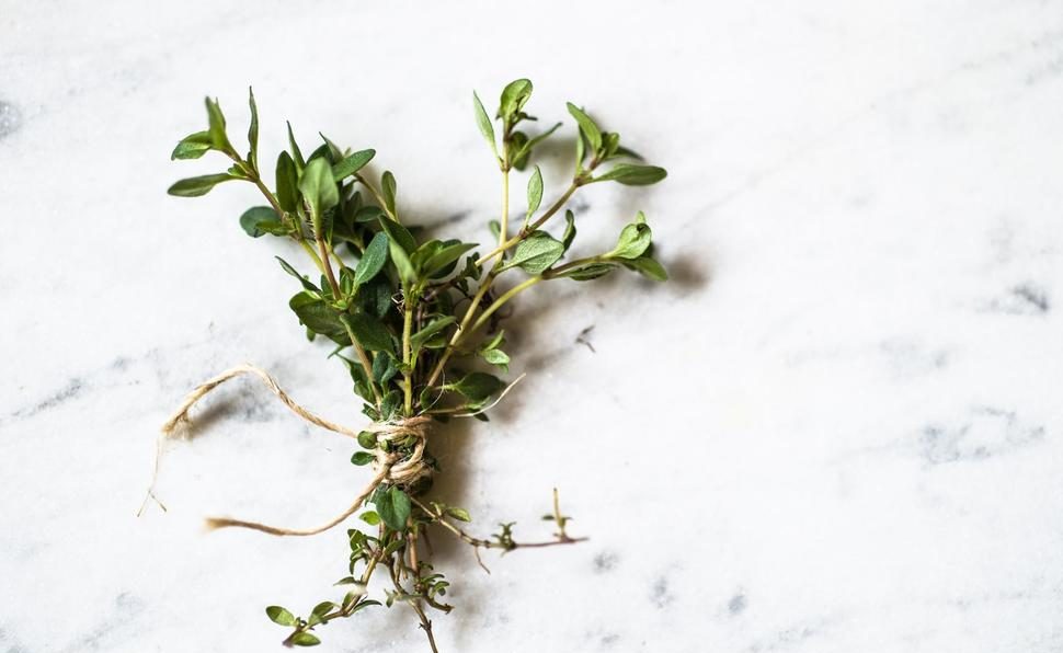 efd2ed3ce504f3e8ac666fcb2343e564ccf79b13 300819123800 e1567339342672 - زاجل نيوز