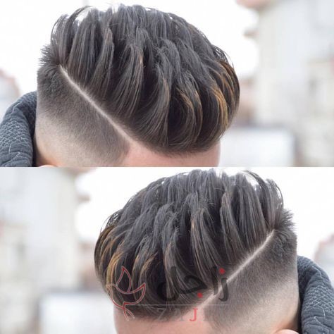 زاجل 12 - زاجل نيوز