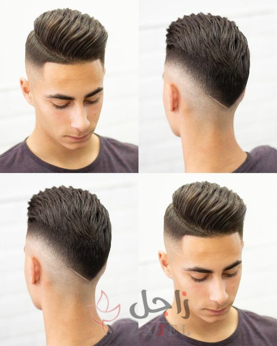 زاجل 13 - زاجل نيوز