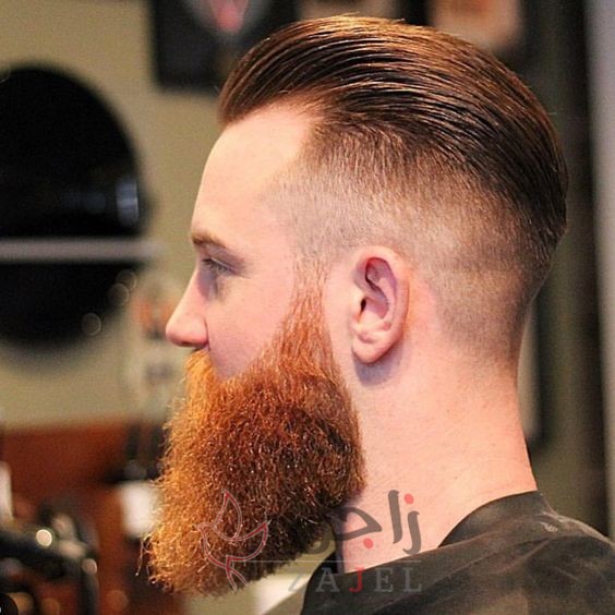 زاجل 14 - زاجل نيوز