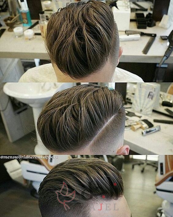 زاجل 15 - زاجل نيوز