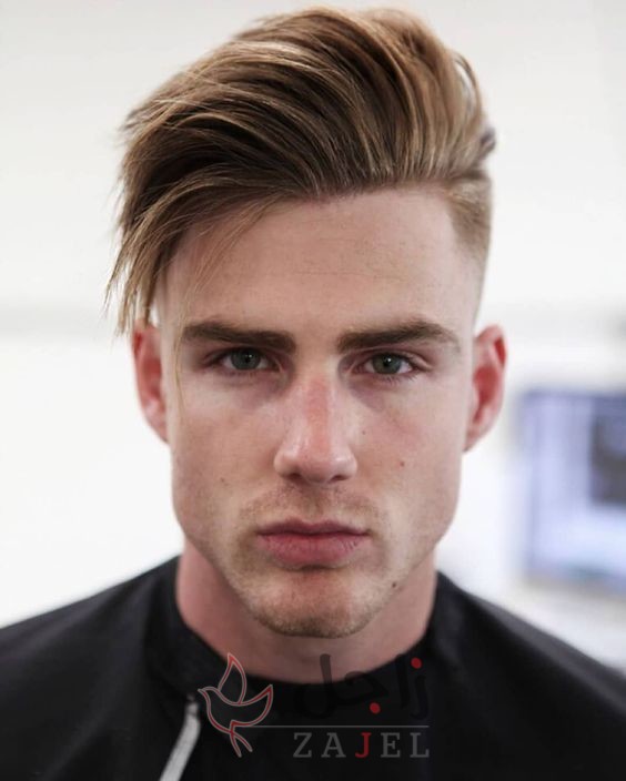 زاجل 16 - زاجل نيوز