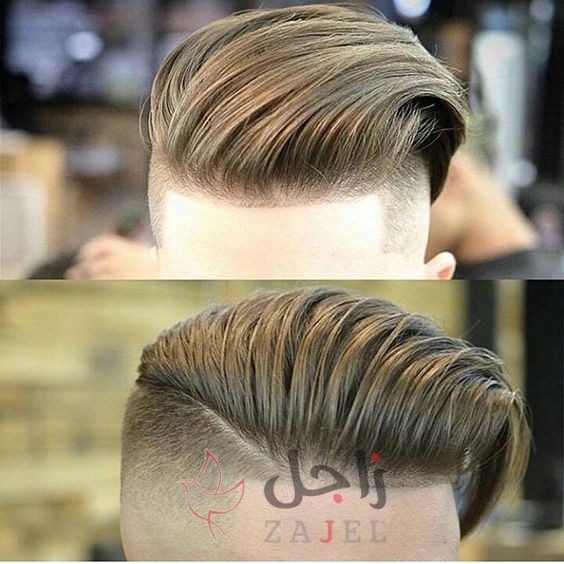 زاجل 17 - زاجل نيوز