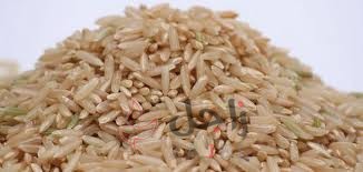 زاجل ارز بني - زاجل نيوز