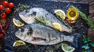 زاجل اسماك - زاجل نيوز