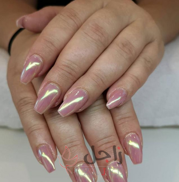 زاجل اظظافر - زاجل نيوز