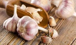 زاجل الثوم - زاجل نيوز