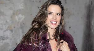 زاجل اليساندرا - زاجل نيوز