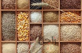 زاجل حبوب كامله - زاجل نيوز