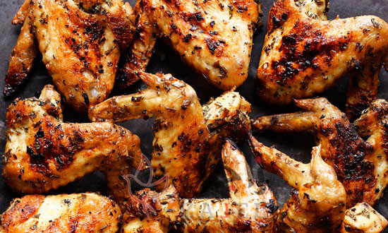 زاجل دجاج - زاجل نيوز