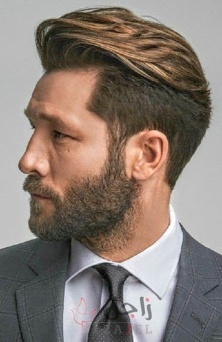 زاجل شعر3 - زاجل نيوز