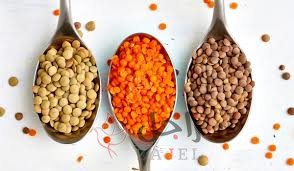 زاجل عدس - زاجل نيوز