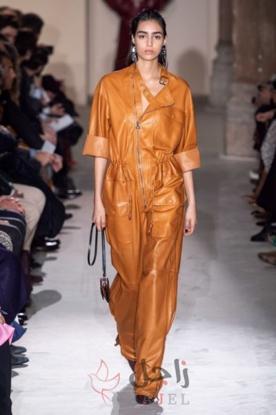 زاجل موضه3 - زاجل نيوز