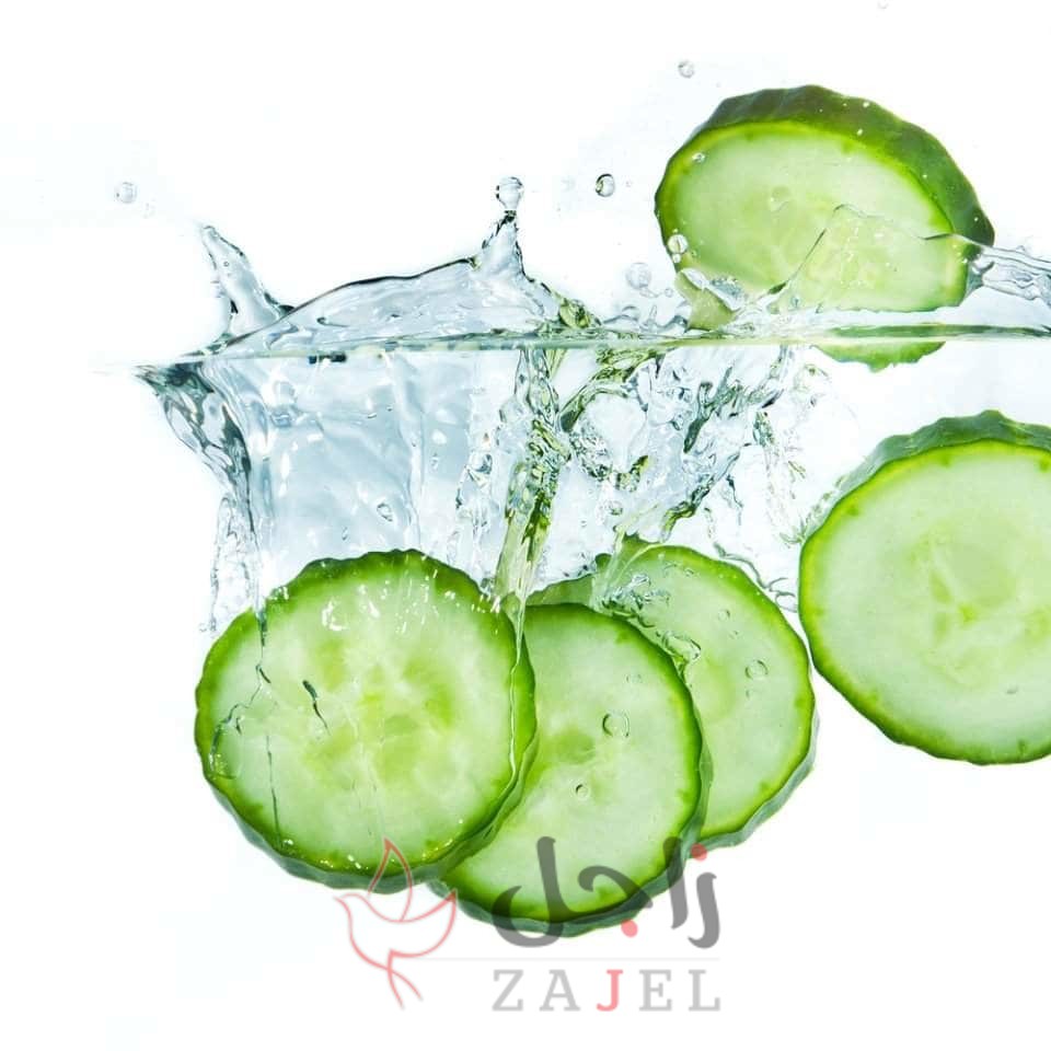 زاجل الخيار - زاجل نيوز