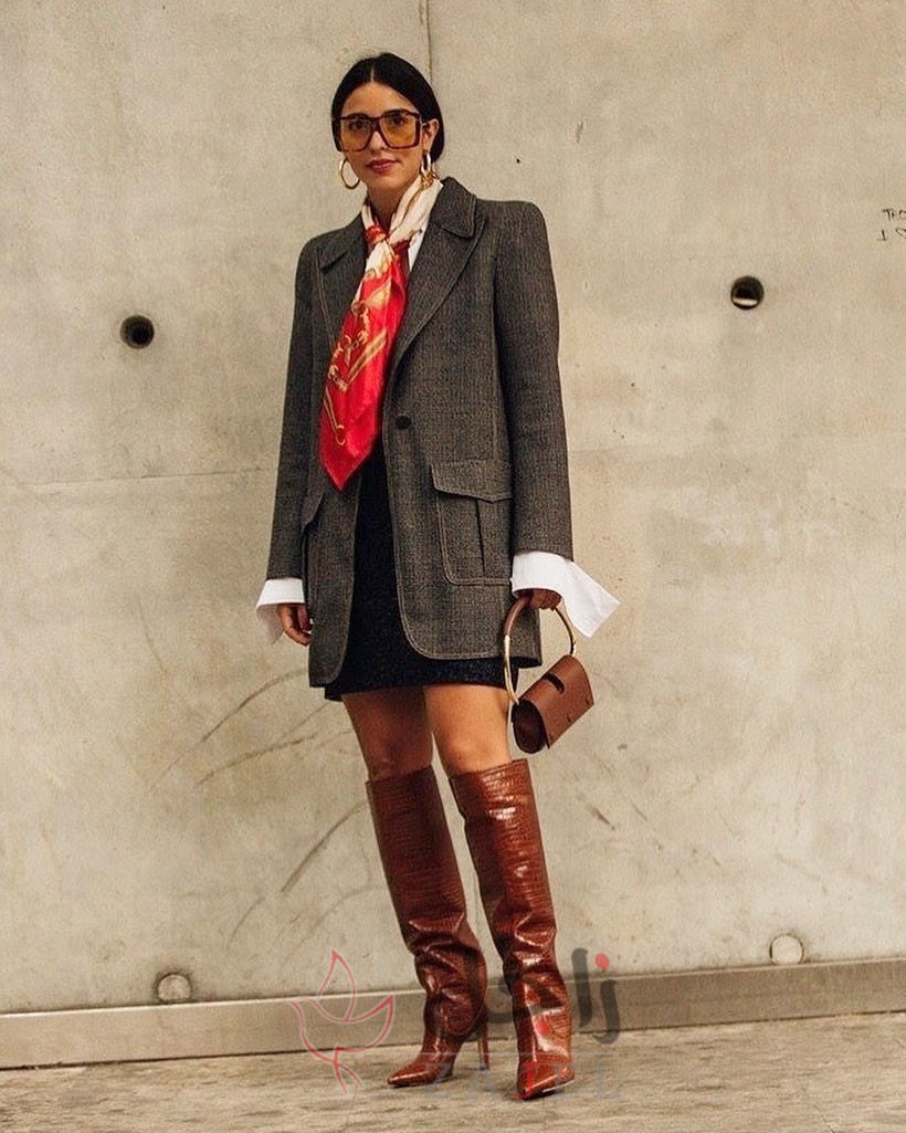 زاجل اياءء - زاجل نيوز