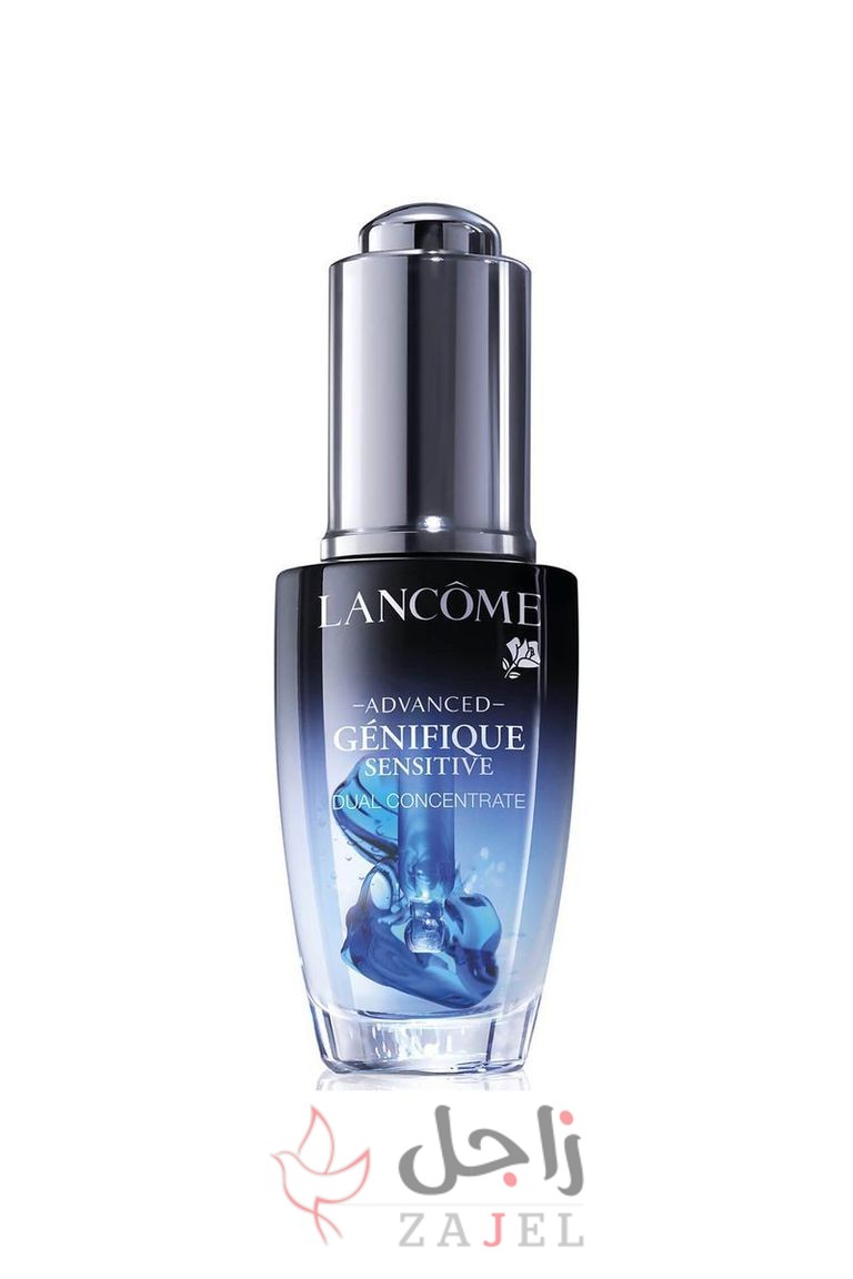 زاجل جمال 2 - زاجل نيوز