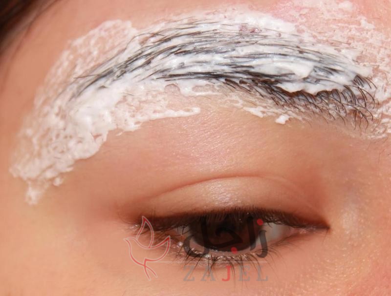 زاجل جمال الحواجب - زاجل نيوز