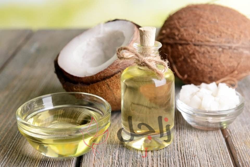 زاجل ر - زاجل نيوز