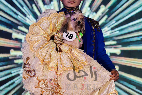 زاجل شاهد عرض أزياء للحيوانات الأليفة فى الفلبين1 - زاجل نيوز