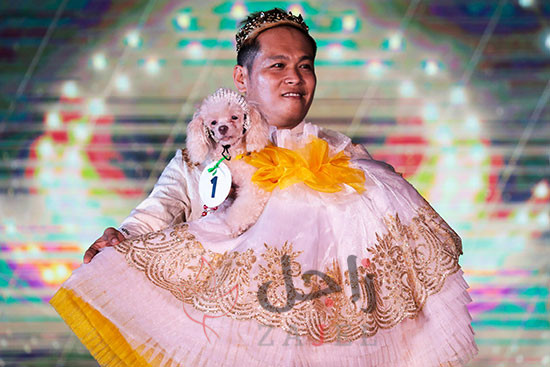 زاجل شاهد عرض أزياء للحيوانات الأليفة فى الفلبين22 - زاجل نيوز