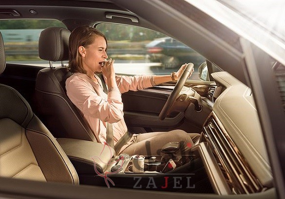 22297700 7796651 image a 8 1576489905861 - زاجل نيوز