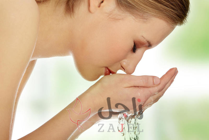 6170686 1947204266 - زاجل نيوز