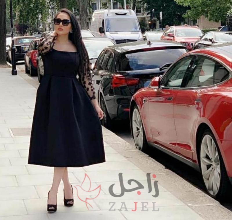 6189391 343079235 - زاجل نيوز