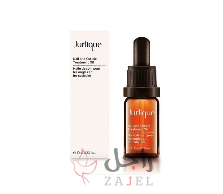 6197501 1735013572 - زاجل نيوز