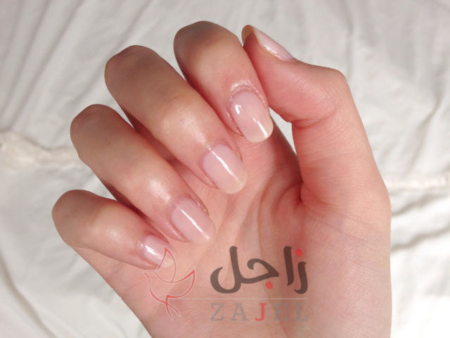 ASA - زاجل نيوز