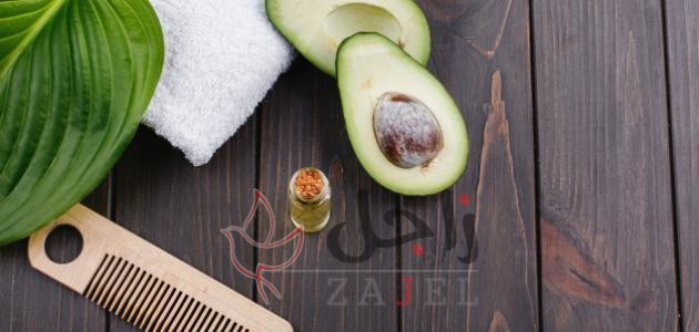 CV - زاجل نيوز