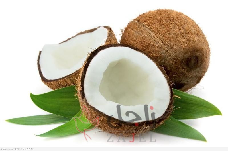 GGF - زاجل نيوز