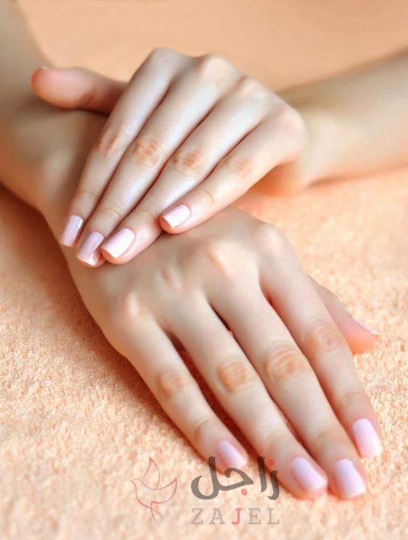 GH - زاجل نيوز